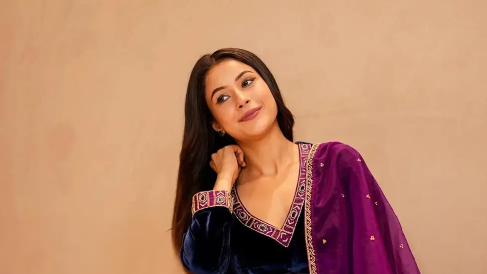 Description of the pic