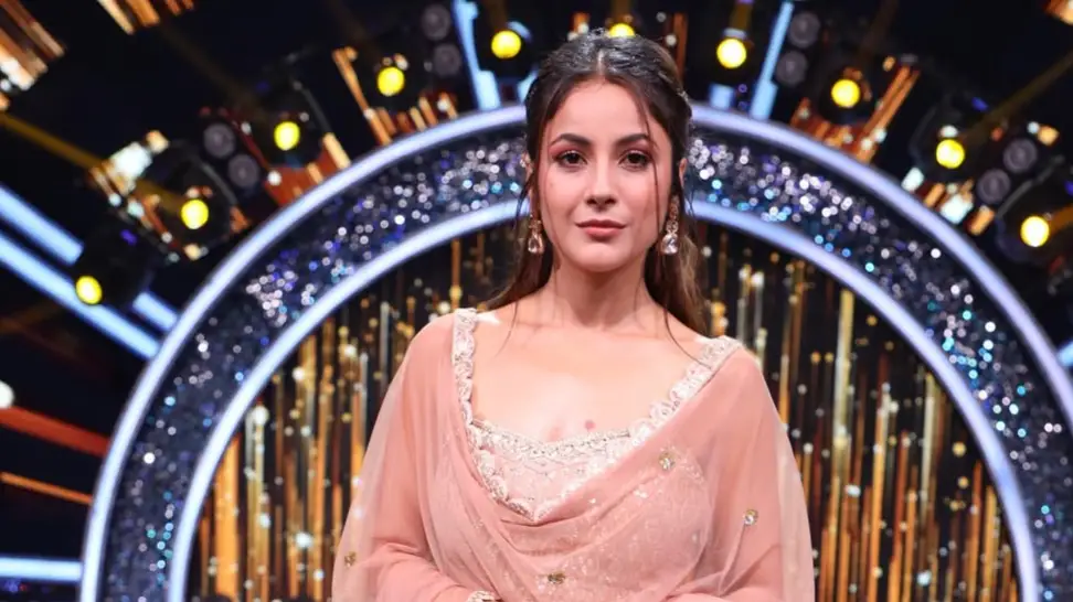 Description of the pic