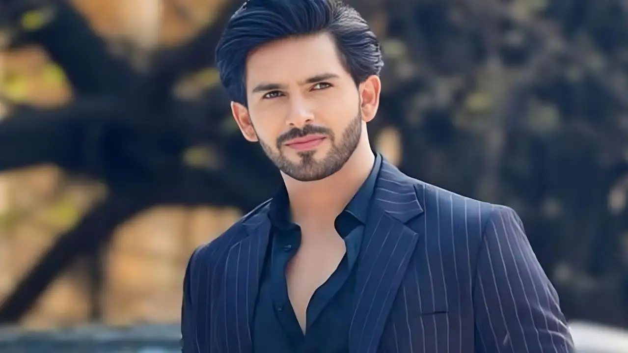 Description of the pic