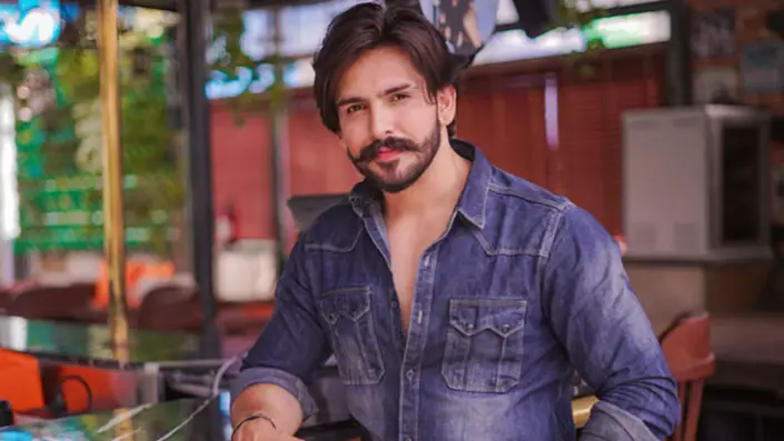 Description of the pic