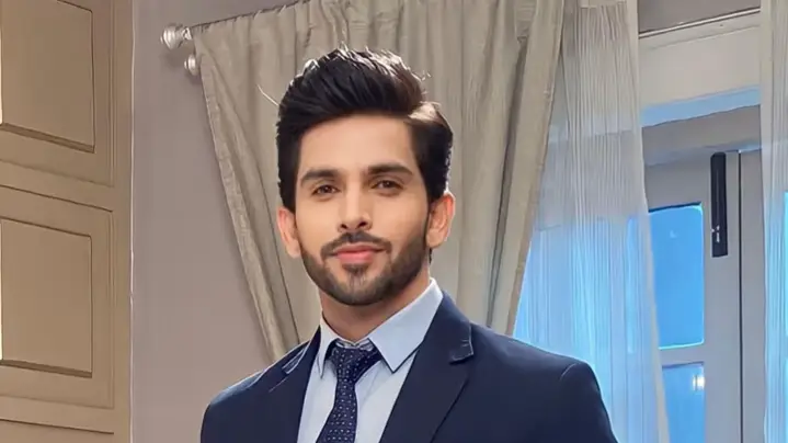 Description of the pic