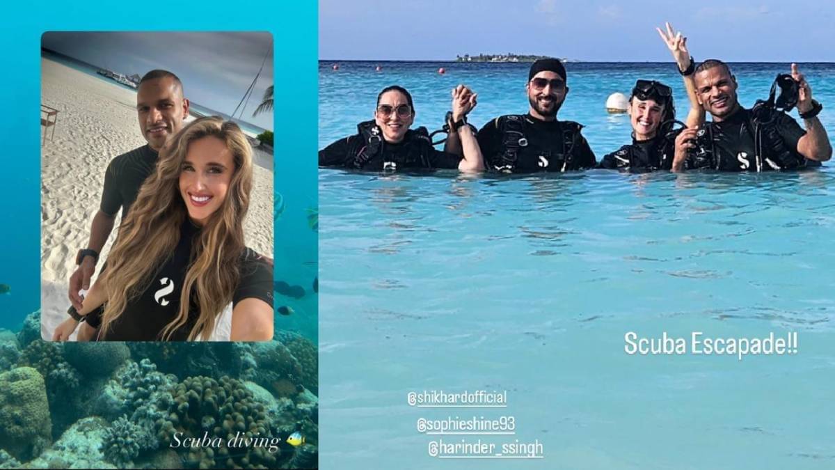 Description of the pic