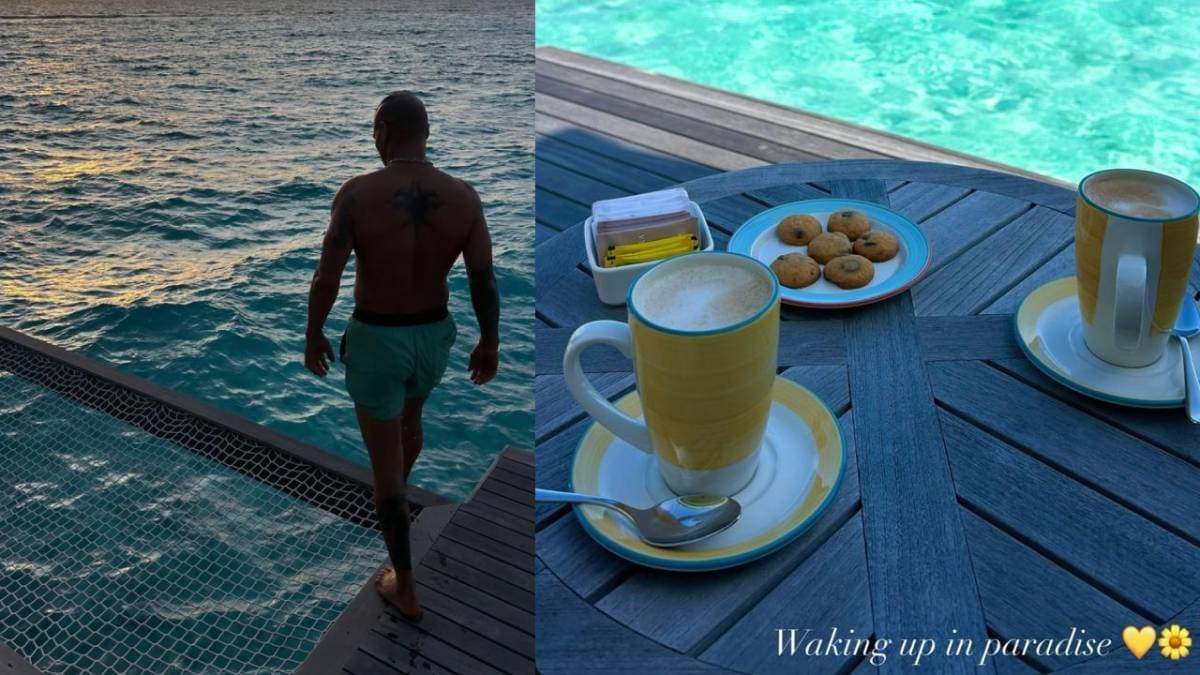 Description of the pic