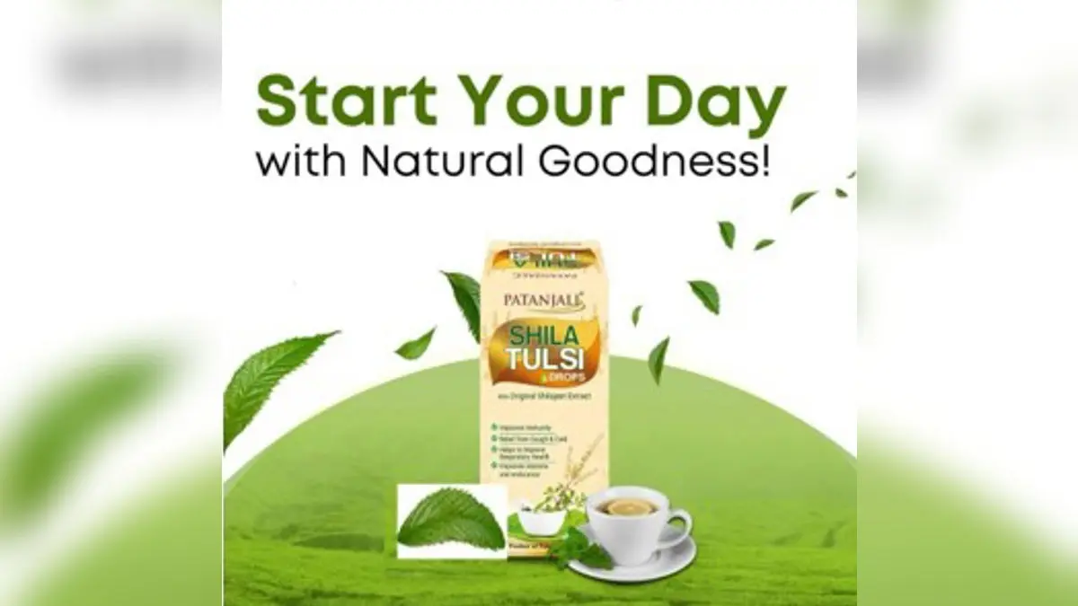 Shila Tulsi Drops by Patanjali – Nature’s Gift for Modern Wellness Shila Tulsi Drops by Patanjali – Nature’s Gift for Modern Wellness