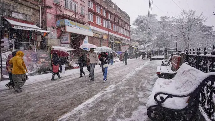 Shimla Transforms into a Snowy Paradise After Fresh Snowfall | In Pictures