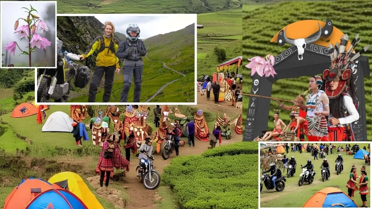 Shirui Lily Festival