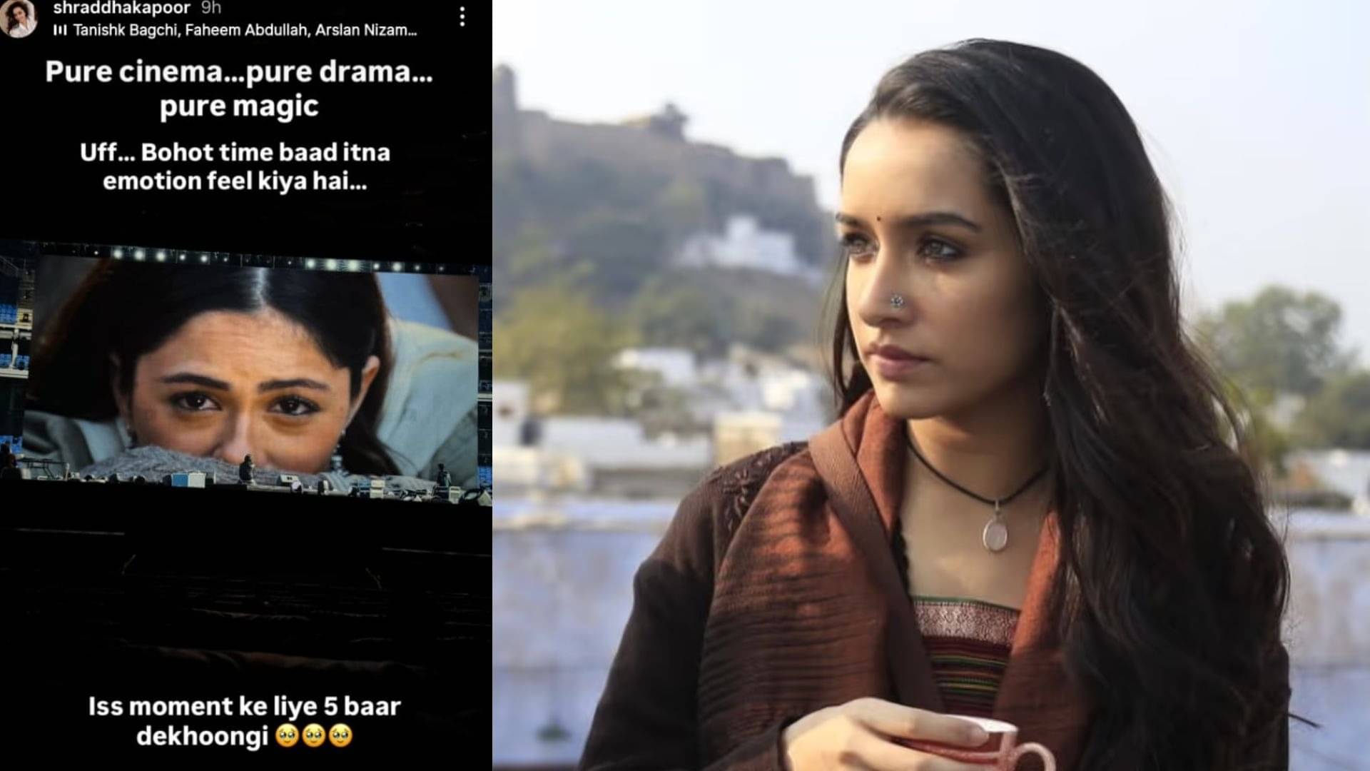 Description of the pic