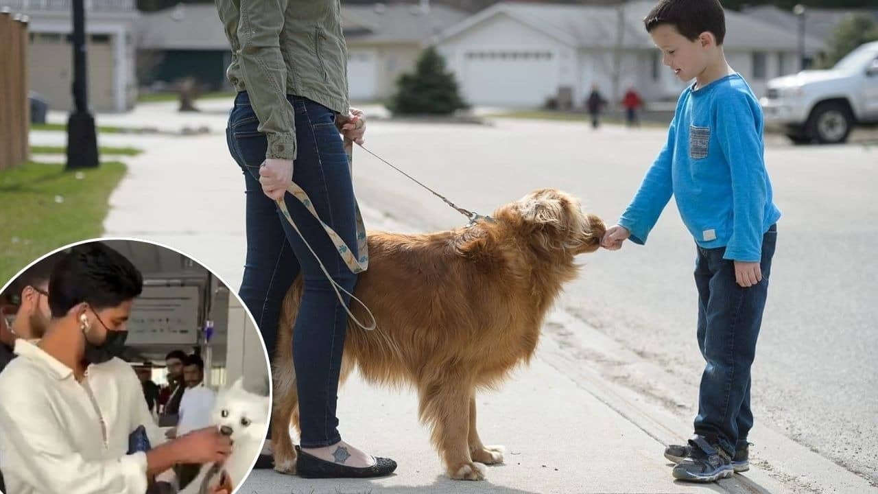 Shreyas Escapes Dog Bite, Here’s How To Behave Around Stranger Pets