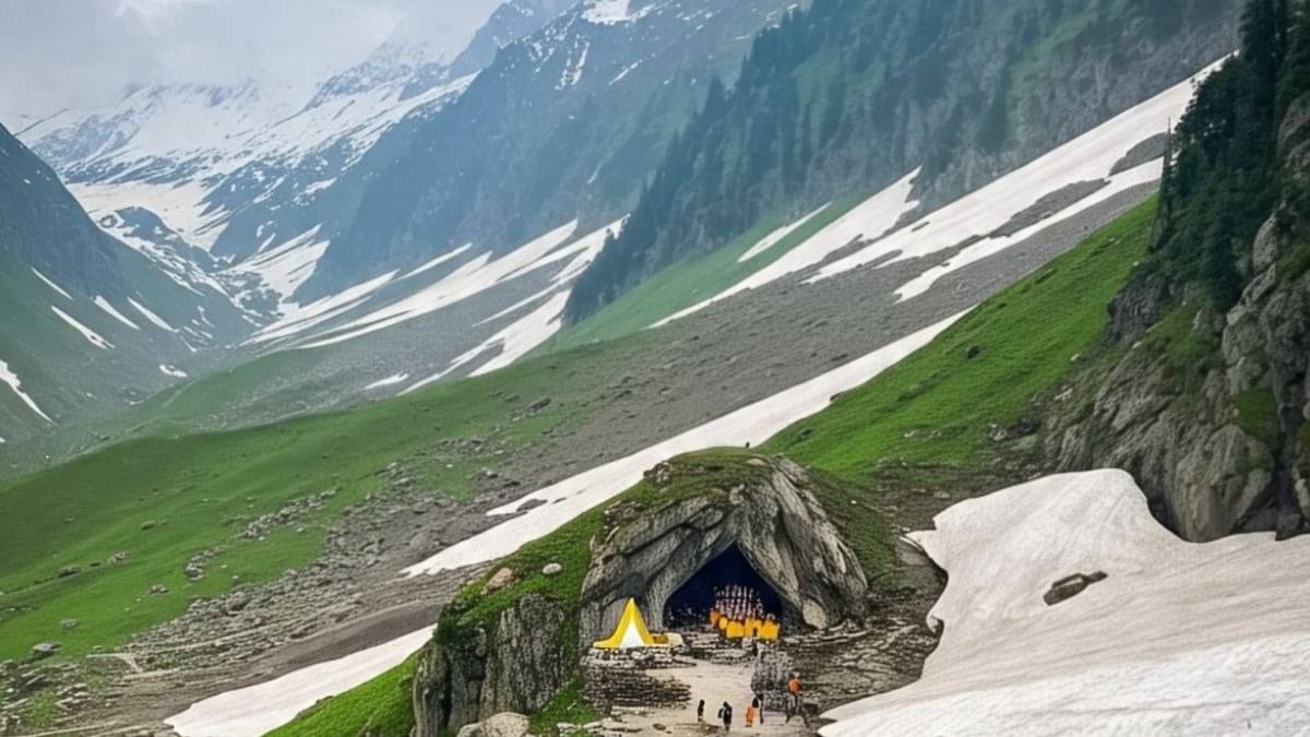 Description of the pic