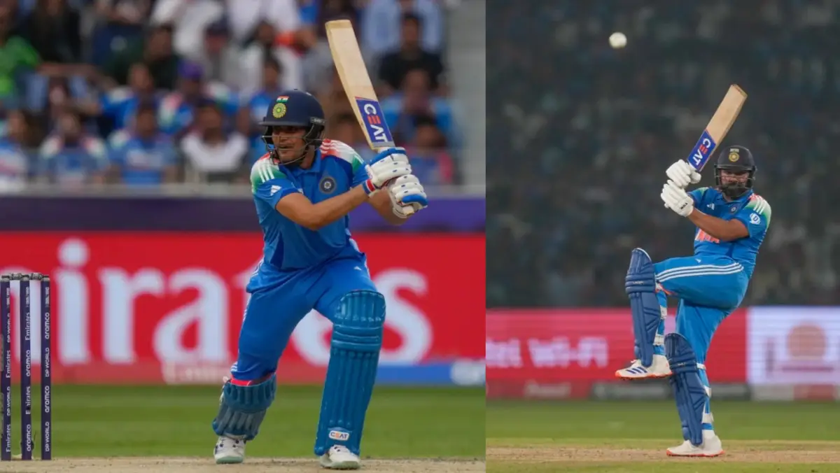 Description of the pic