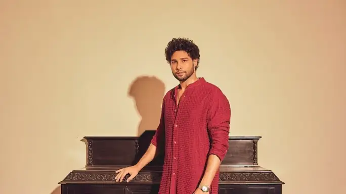 Description of the pic