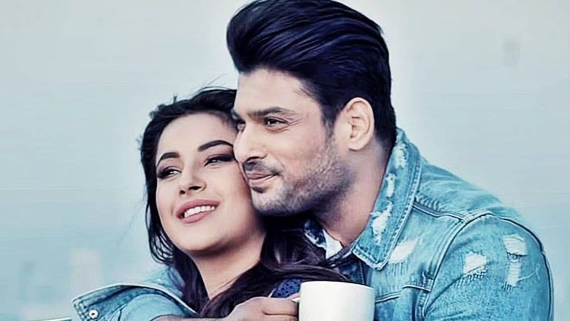 Description of the pic