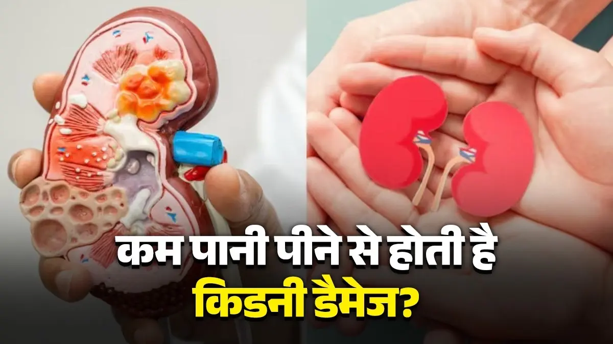 signs and symptoms of kidney damage due to less drinking of water know precautions health tips