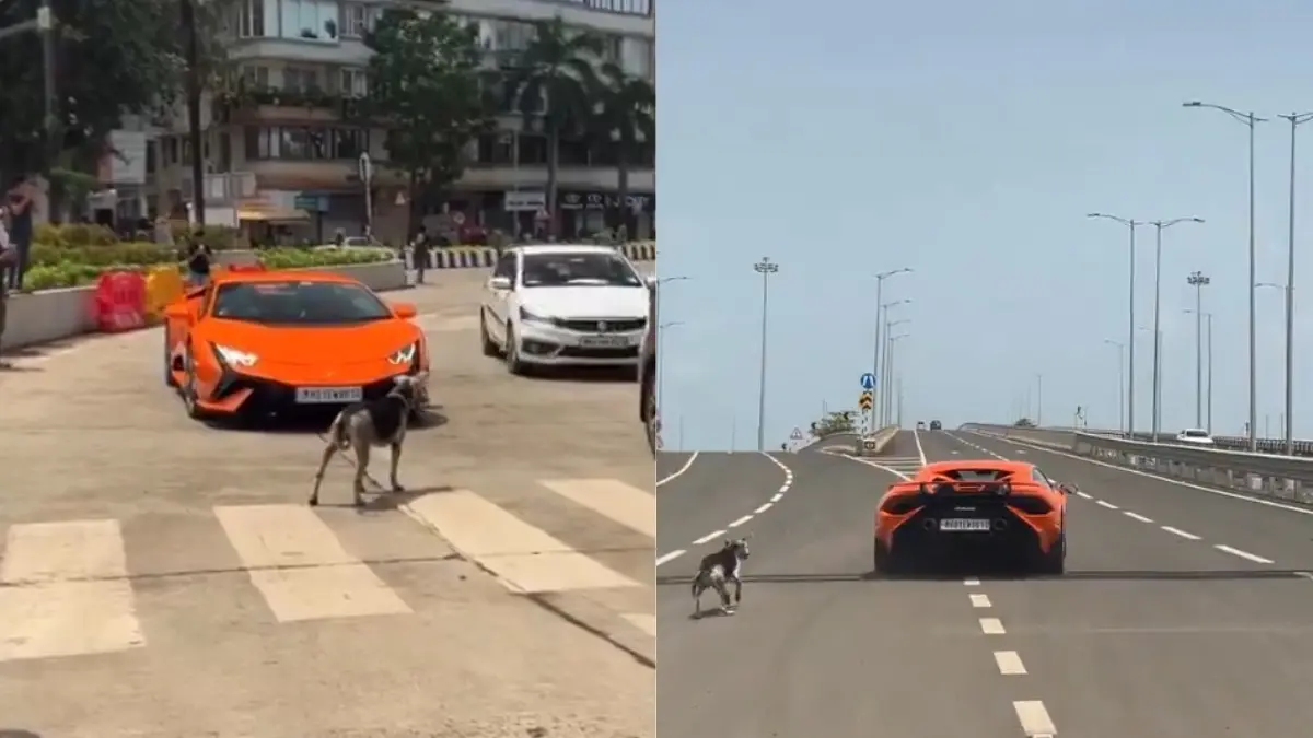 Sir Dogesh vs Lamborghini