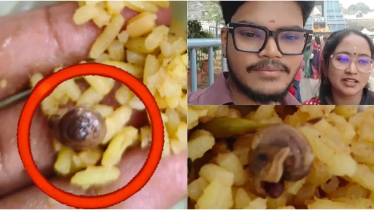 Snail Found In Prasad? Andhra Temple Responds After Couple's Viral Claim | WATCH