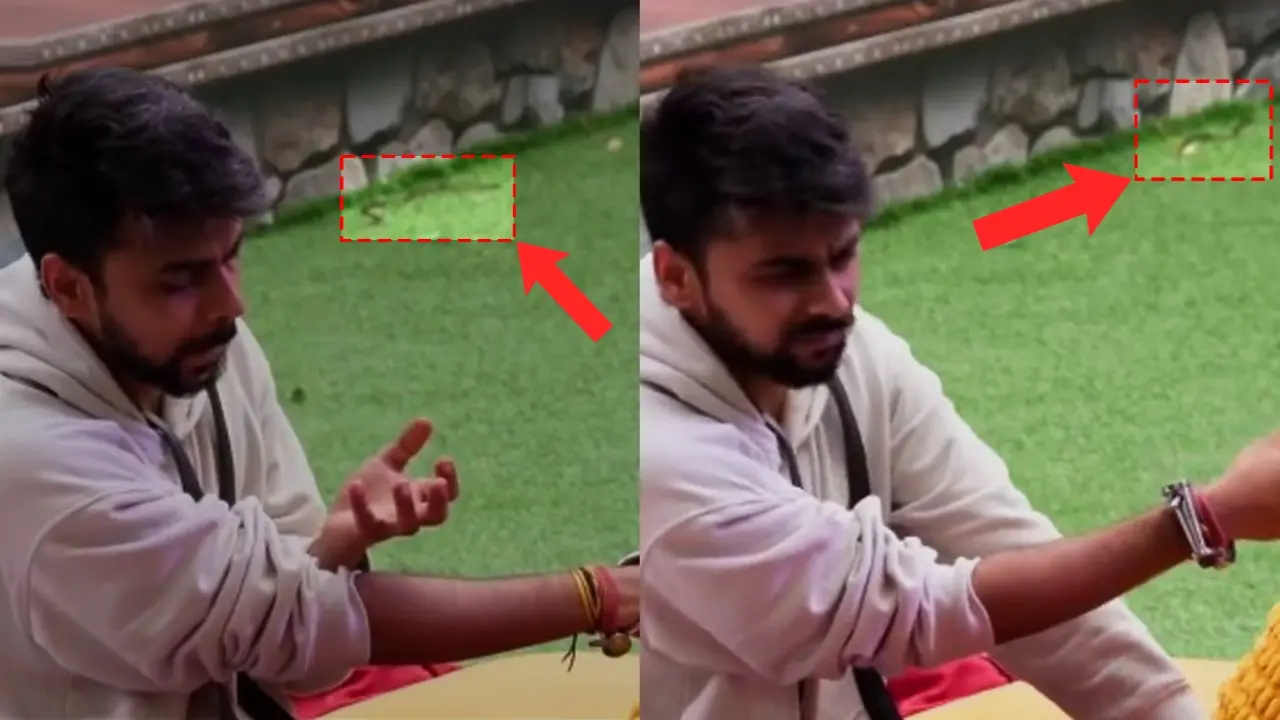 snake in Bigg Boss OTT 3 house