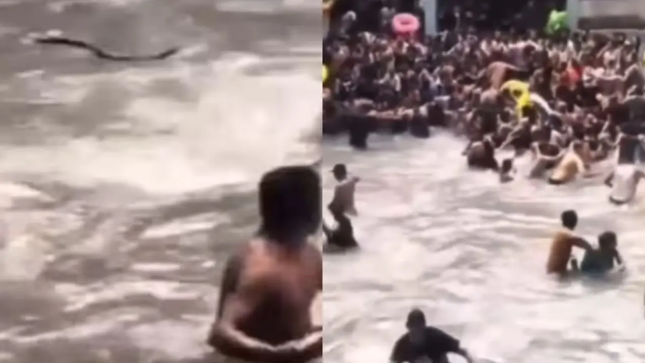 Snake at Mussoorie’s Kempty Falls, Viral Video