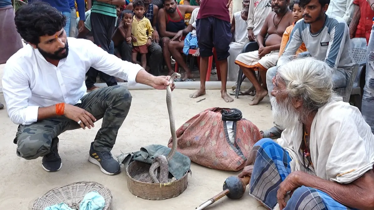 snake-with-hair-charmer