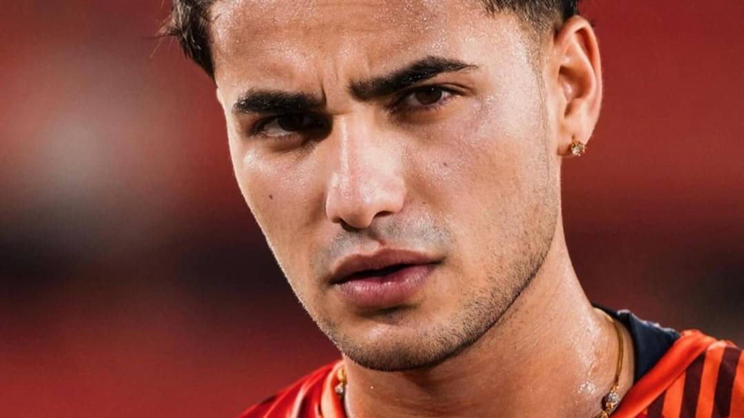 Description of the pic