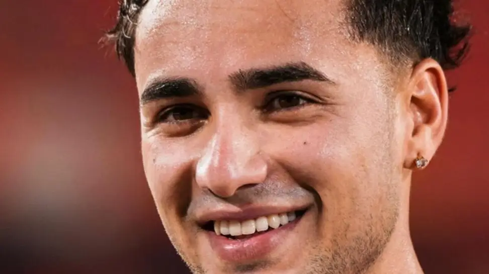 Description of the pic