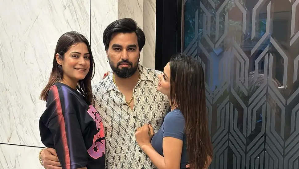 Description of the pic