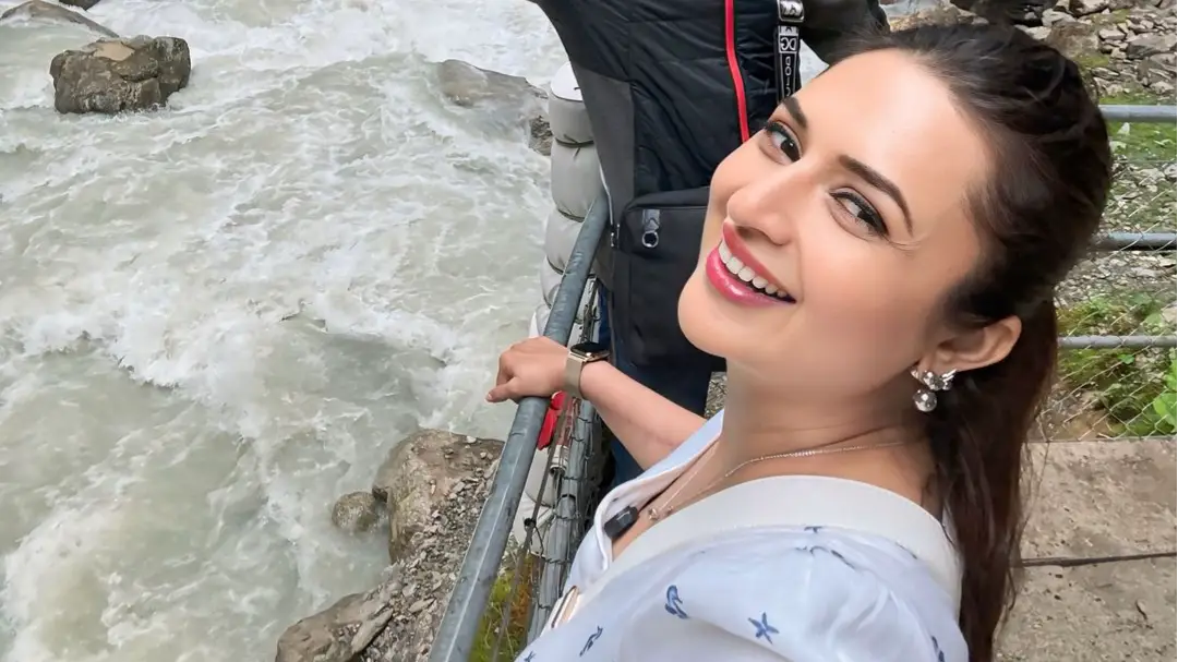 Description of the pic