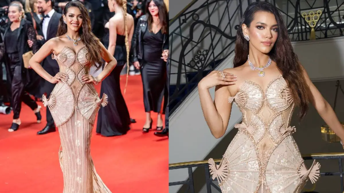 Description of the pic