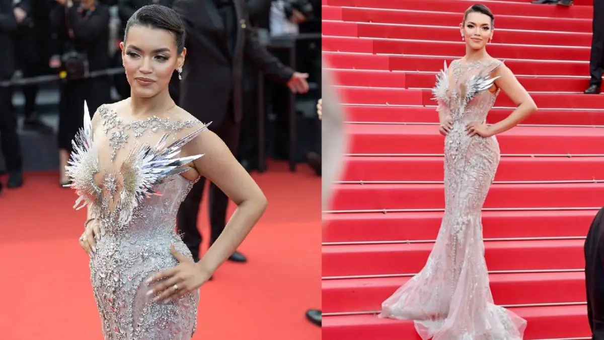 Description of the pic