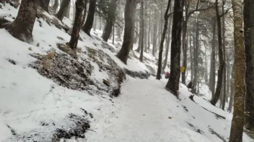 Snowfall in Himachal Pradesh