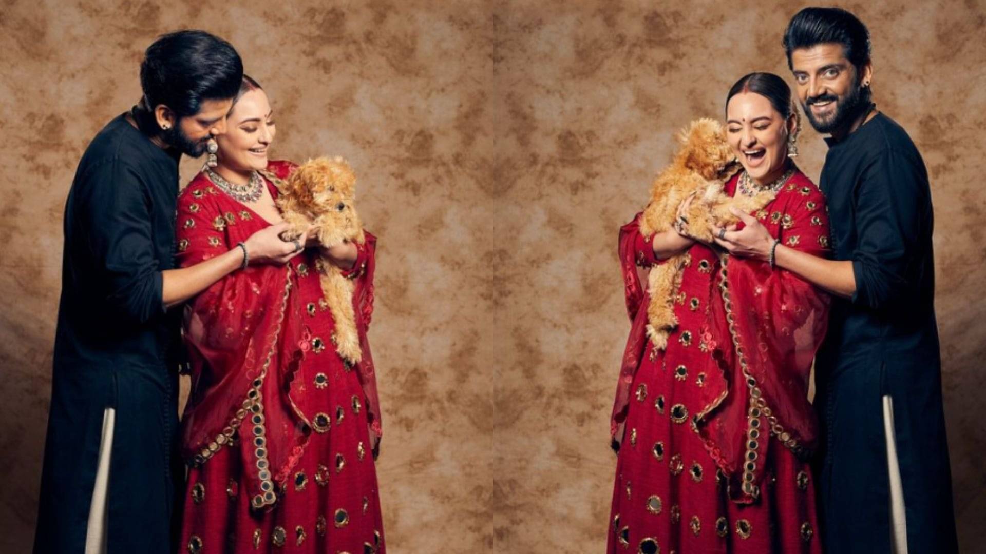 Description of the pic