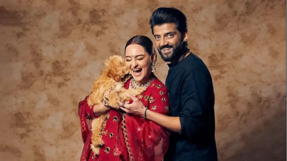 Description of the pic