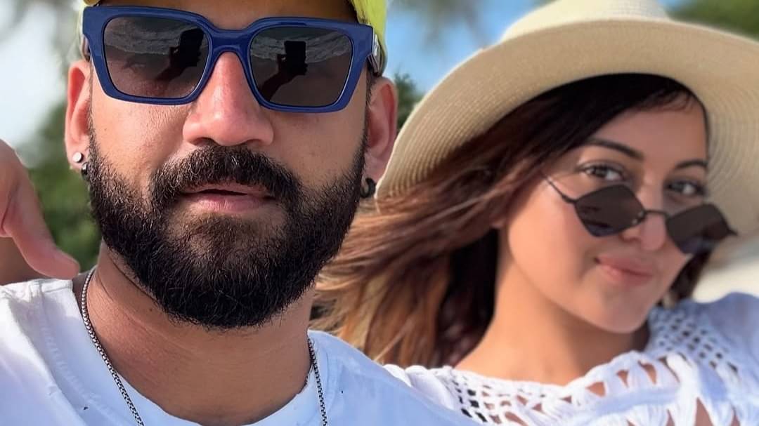 Description of the pic