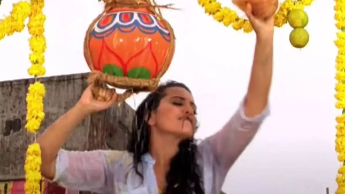 Description of the pic