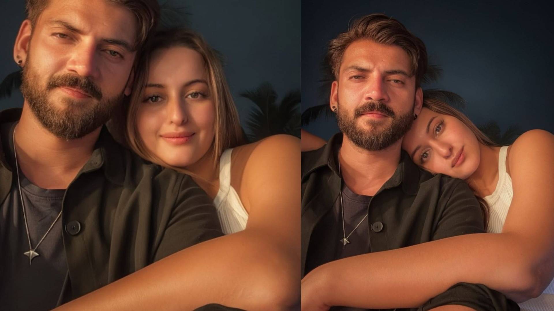 Description of the pic