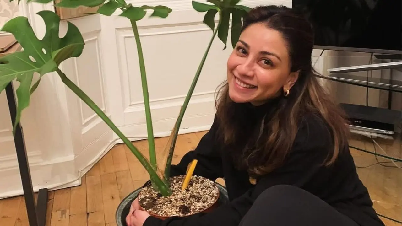 Sonam Kapoor's Aisha Co-star Amrita Puri Buys Luxury Flat Worth Rs...