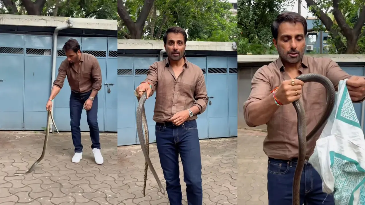 Sonu sood catches snake, video