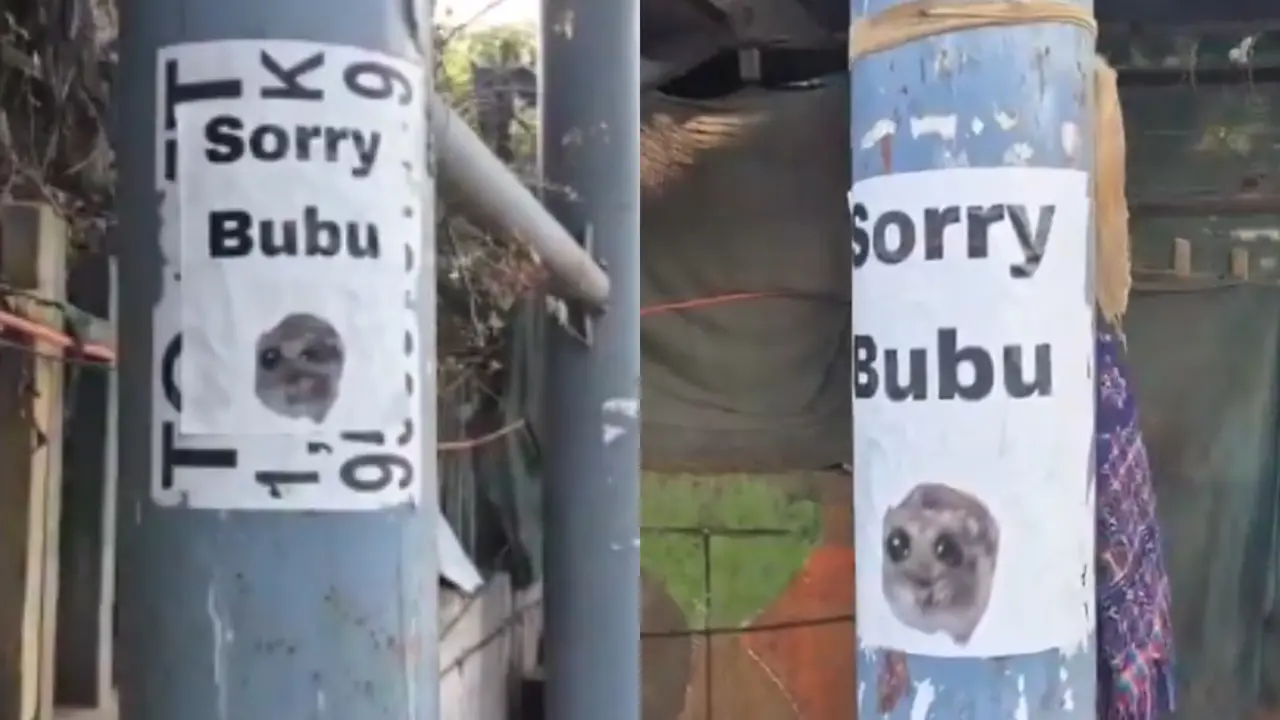 Sorry Babu Posters Viral