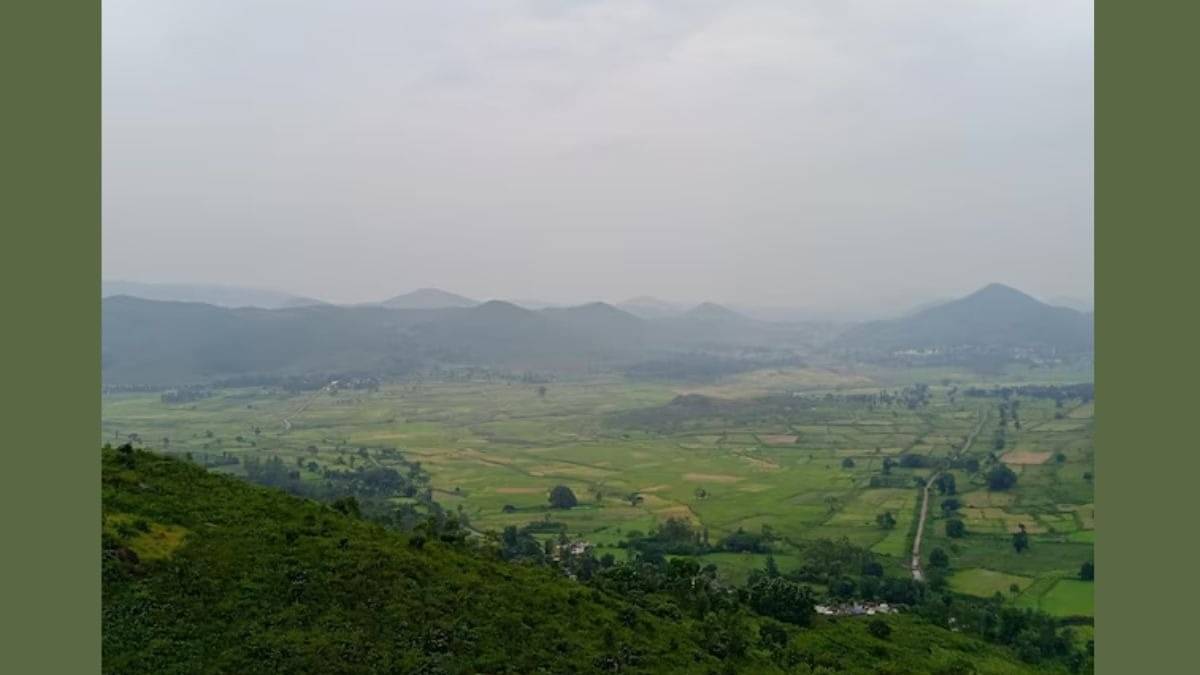 Description of the pic