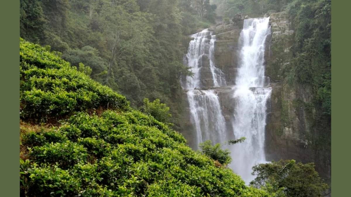 Description of the pic