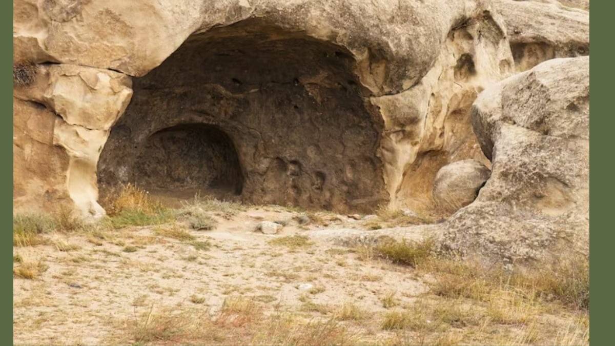 Description of the pic