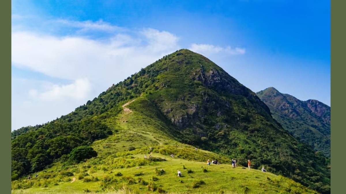 Description of the pic