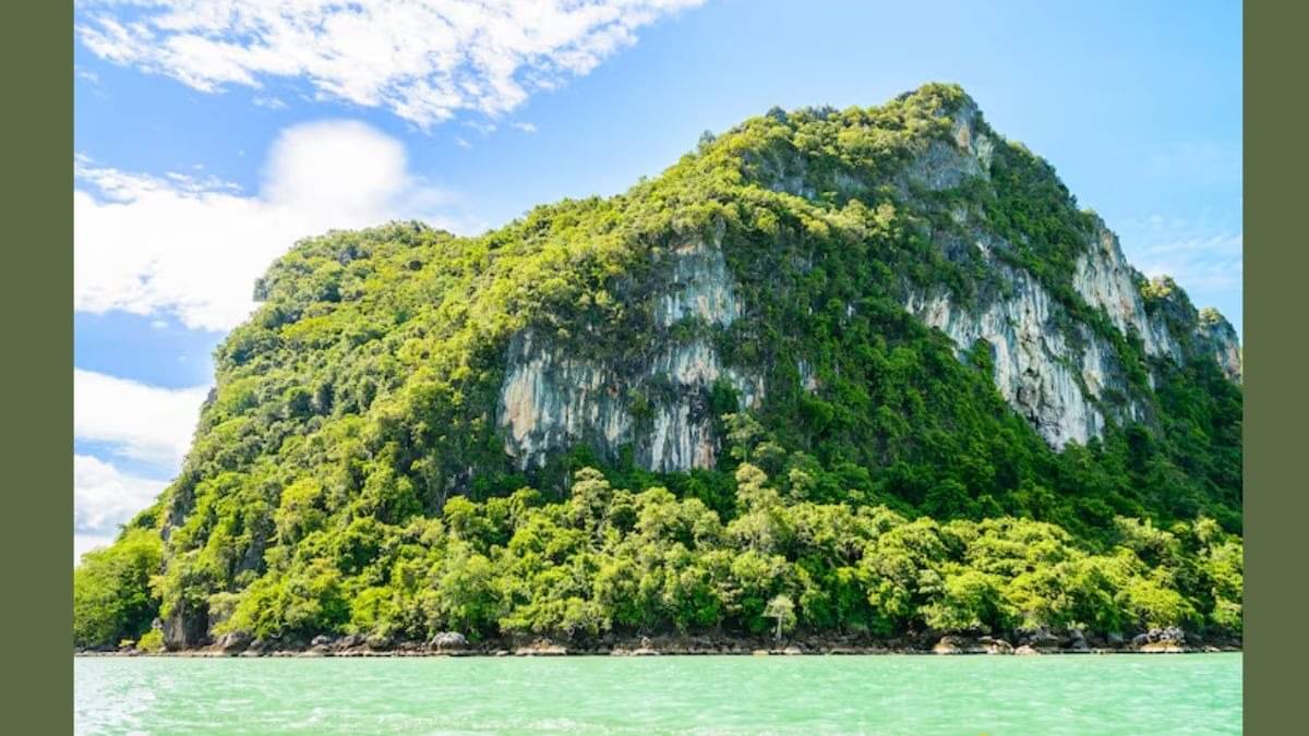 Description of the pic