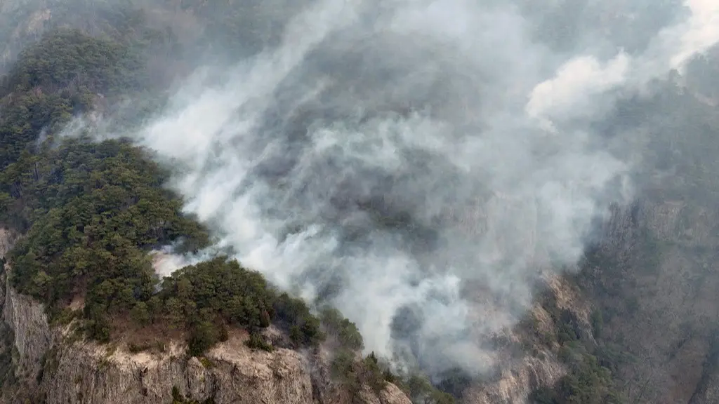 South Korea Wildfires: Officials Struggle to Contain 'Worst' Blaze in History; Toll Rises to 27, 300 Structures Destroyed