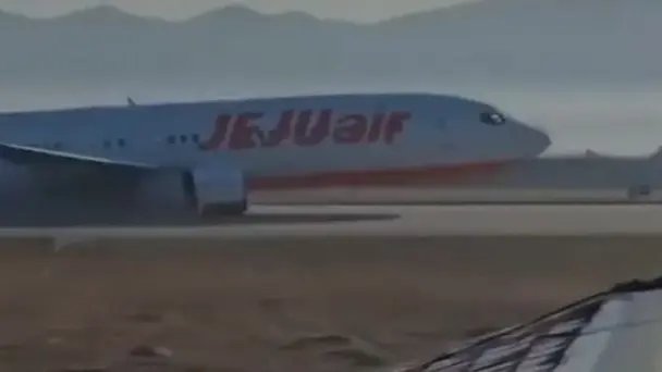 South Korean Plane Landing Gear Reportedly Malfunctioned Before Crash