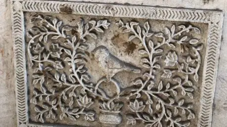 This Plaque in Ahmedabad Honors Sparrow Killed in 1974 Police Firing sparrow day