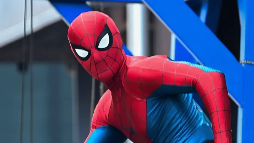 Description of the pic