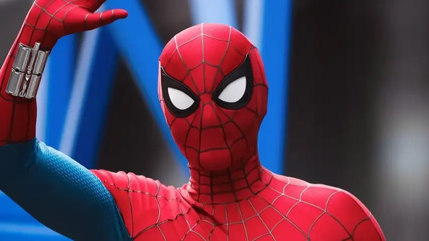 Description of the pic