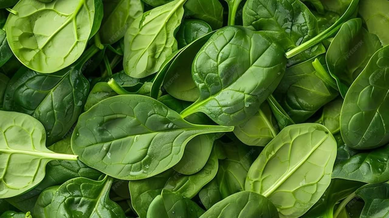 Description of the pic