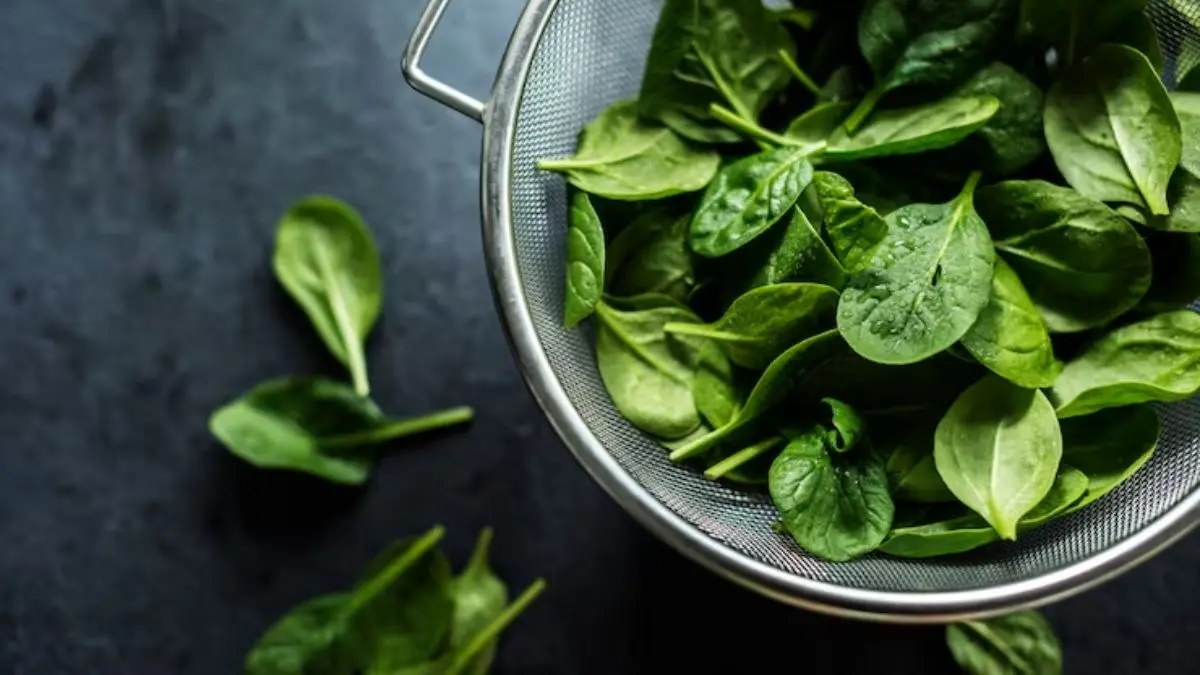 benefits of eating spinach palak in winter season