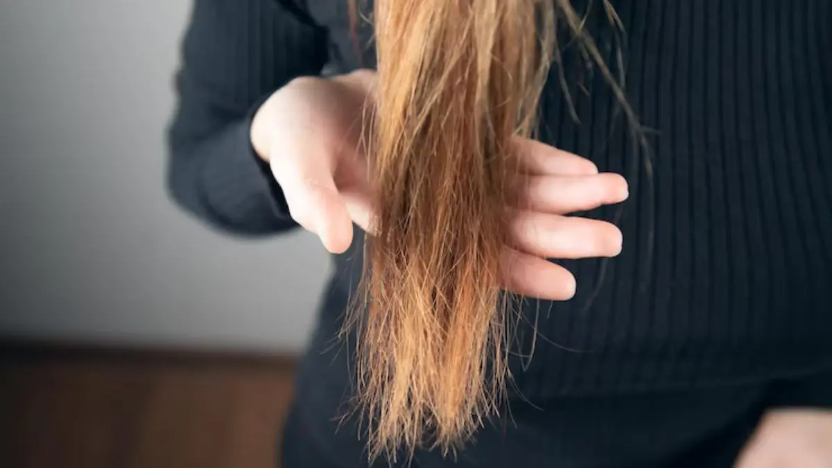 Hair Care Tips: नीचे से झाड़ू जैसे बालों से अगर हो गए हैं परेशान, तो अपनाएं ये 6 आसान टिप्स और पाएं सिल्की स्ट्रॉन्ग हेयर split ends hair care tips